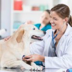 veterinary clinics in Fort Myers FL